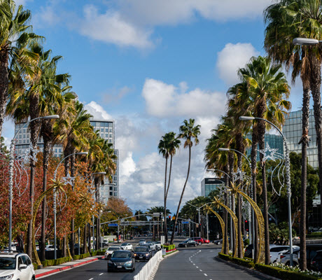 Festive Costa Mesa Vista